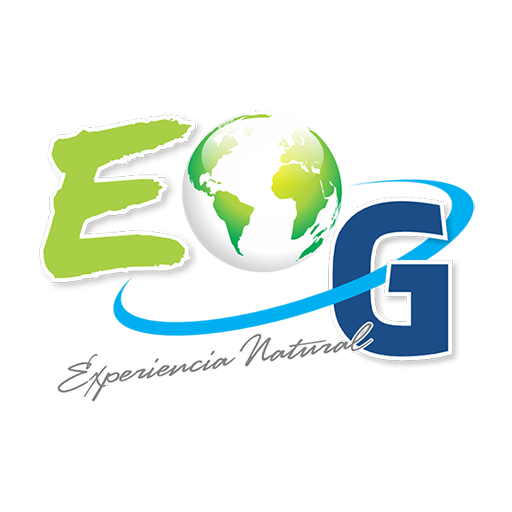 overall environment